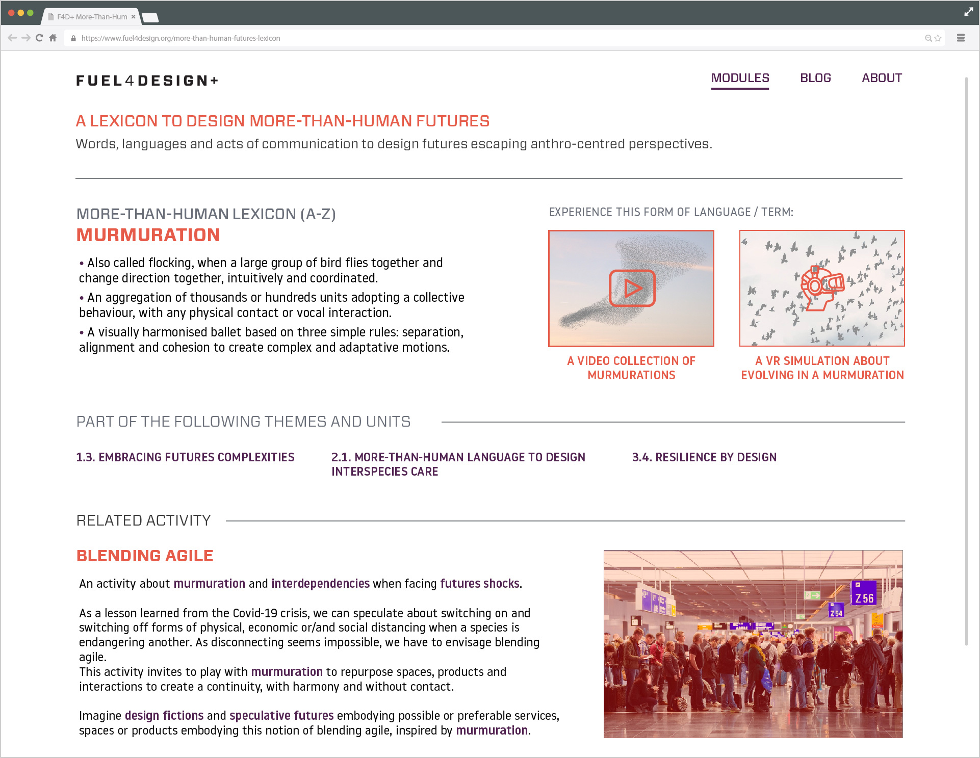 The Design More-Than-Human Futures Lexicon webpage